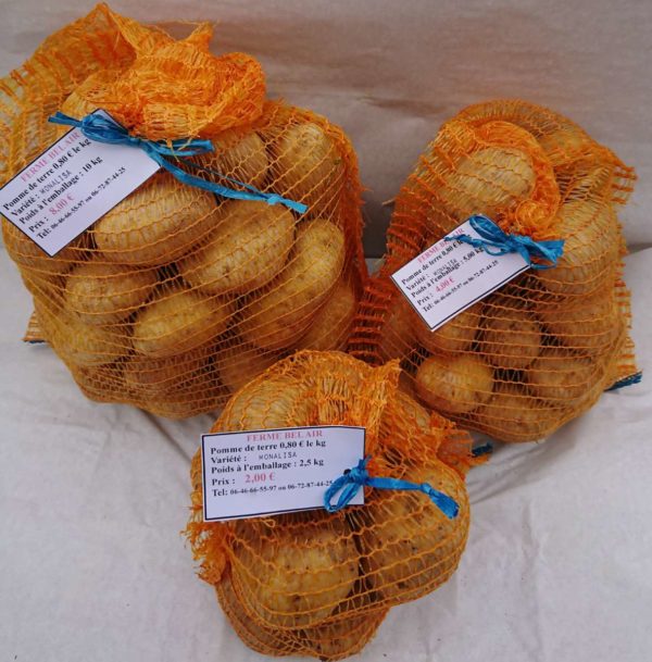 Pomme de terre Ferme BelAir Ariège Artemis,Gourmandine,Monalisa