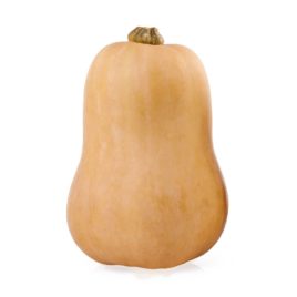 Plant de Butternut