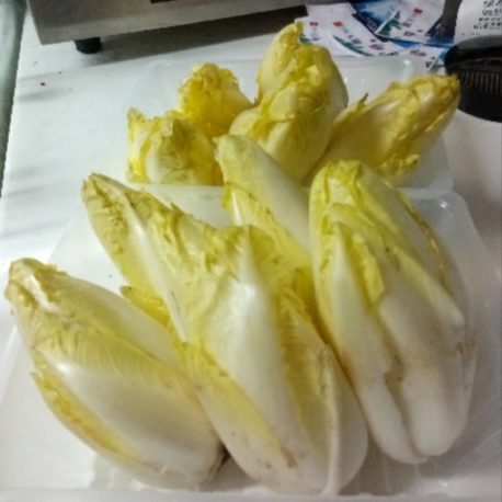 producteur-endive-ariege