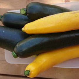 Courgette longue