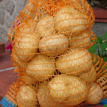 producteur-pomme-de-terre-ariege