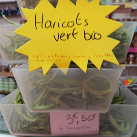 producteur-haricot-vert-bio-ariege