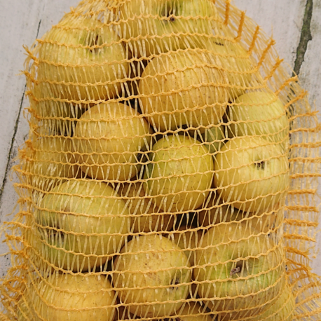 pomme-chantecler -producteur-ariege