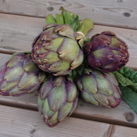 Artichaut violet-la botte-