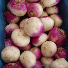 Navet-500 g –