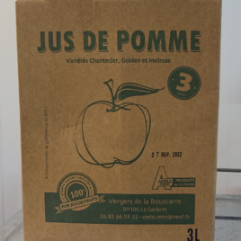 Jus de Pomme Sans Conservateur 3l