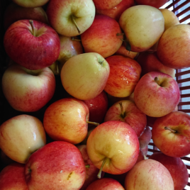 Pomme Fuji  1 kg