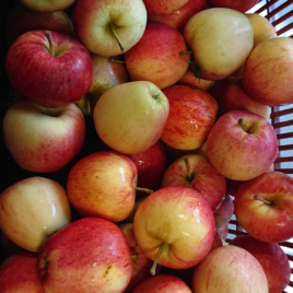 Pomme GALA-1 kg-