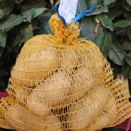 producteur-pomme-de-terre-charlotte-filet-ariege