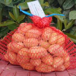 Pomme de Terre GRENAILLE-AMANDINE -1.5 kg-