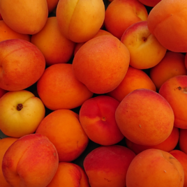 Abricot-1 kg-