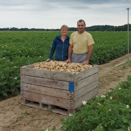 Pomme de Terre ARTEMIS- VRAC-0.80 € le kg