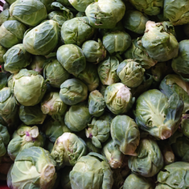 Chou de Bruxelles -500 g-